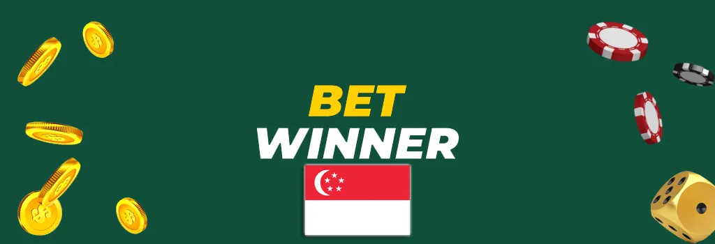 BetWinner Terms & Conditions