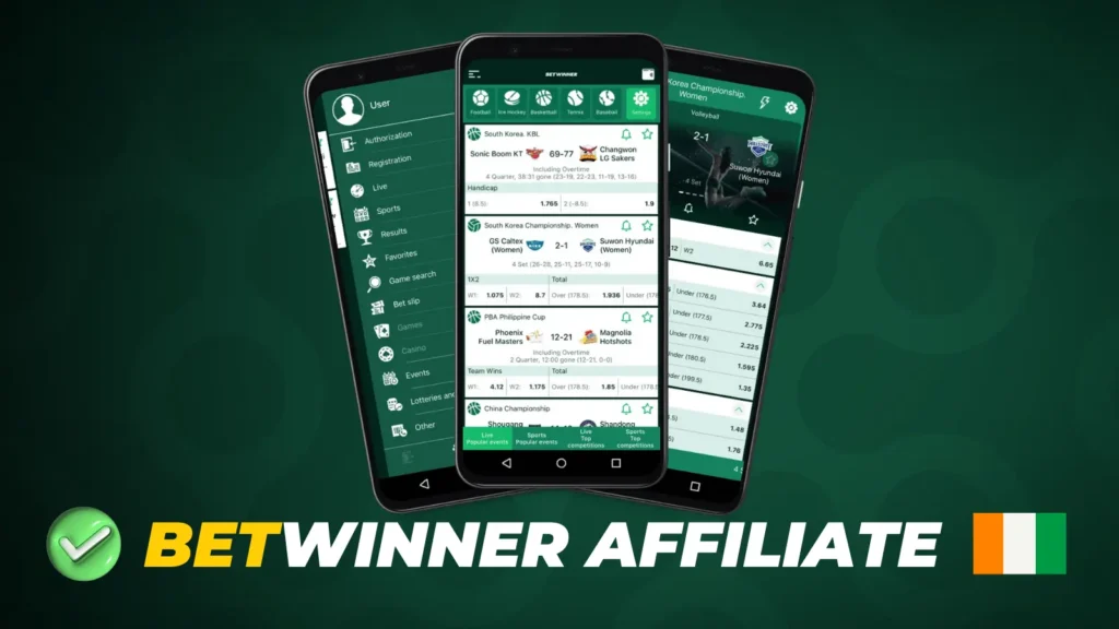 Betwinner Partner